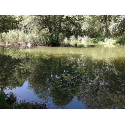 PECHE au COUP - Loisir JEUNE - 3 pêcheurs