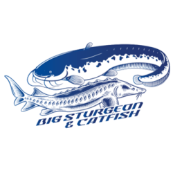 GCL SPECIMEN - PACK START 1000