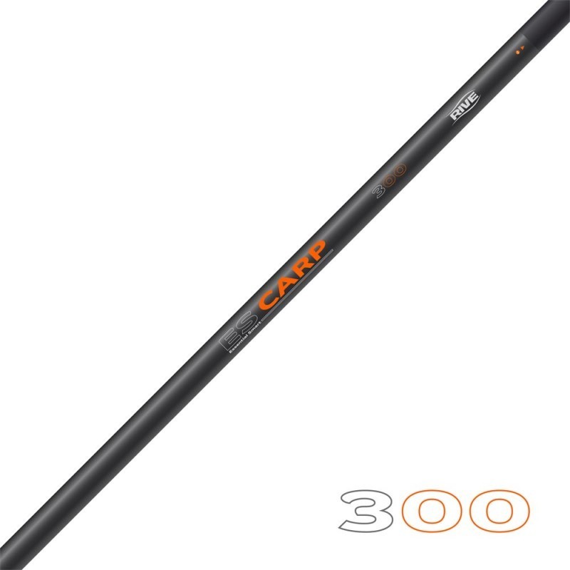 1A - Manche d'épuisette ES Carp 300