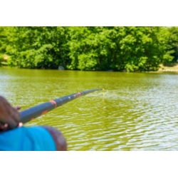 Rive - R984 Power Competition - Pack 13m