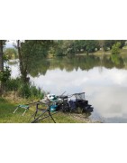 GCL - Petits poissons