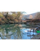 CS - Petits poissons