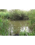 Pour monter les LIGNES